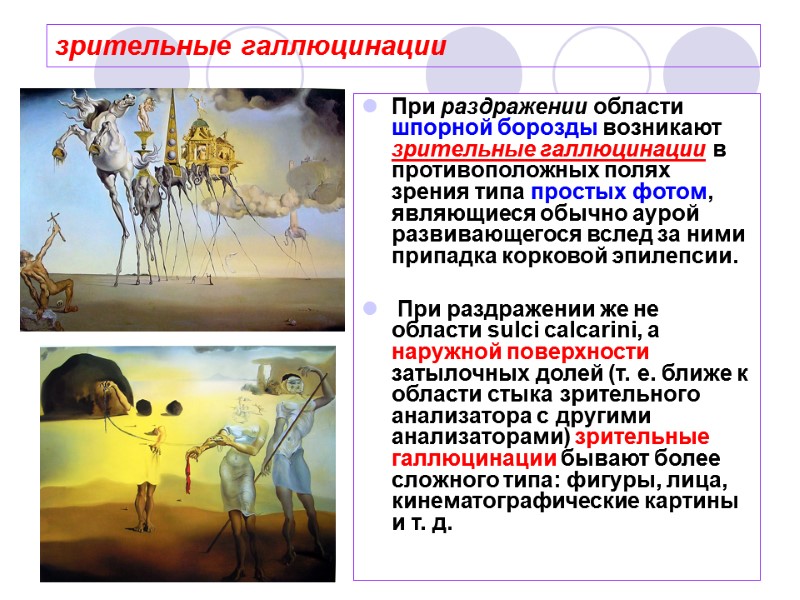 зрительные галлюцинации При раздражении области шпорной борозды возникают зрительные галлюцинации в противоположных полях зрения